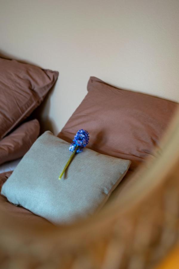 Mosters Bed & Breakfast Guldborg エクステリア 写真